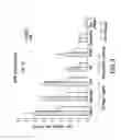 Fig. 04 - Peptides and compositions for treatment of joint damage