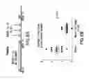 Fig. 07 - Peptides and compositions for treatment of joint damage