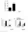 Fig. 02 - Composition to induce bone marrow stem cell mobilization