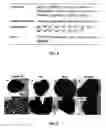 Fig. 04 - METHOD FOR PRODUCING CELL AGGREGATES