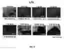 Fig. 06 - METHOD FOR PRODUCING CELL AGGREGATES