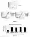 Fig. 09 - METHOD FOR PRODUCING CELL AGGREGATES
