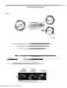 Fig. 02 - RECOMBINANT HBV CCCDNA, THE METHOD TO GENERATE THEREOF AND THE USE THEREOF