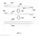 Fig. 02 - Compositions and methods for nucleic acid amplification