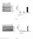 Fig. 03 - Combination method for treating cancer by targeting immunoglobulin superfamily member 1 (IGSF1) and mesenchymal-epithelial transition factor (MET)