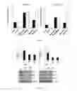 Fig. 09 - Combination method for treating cancer by targeting immunoglobulin superfamily member 1 (IGSF1) and mesenchymal-epithelial transition factor (MET)