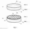 Fig. 08 - GaN single crystal and method for manufacturing GaN single crystal
