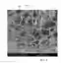 Fig. 06 - POLYMER FOAM SHEET AND BARRIER LAYER COMPOSITE
