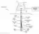 Fig. 01 - Vibration dampener