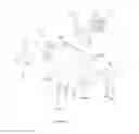 Fig. 09 - Exhaust postprocessing component