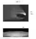 Fig. 08 - Dual light path forming type projection optical system and head lamp and vehicle to which the same optical system is applied