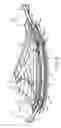 Fig. 04 - Testing The Bending  Behaviour Of Rigid Pipes