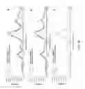 Fig. 103 - Polymer-nanostructure composition for selective molecular recognition