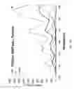 Fig. 70 - Polymer-nanostructure composition for selective molecular recognition