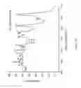 Fig. 08 - Detection of activated monocytes in human peripheral blood and determining the concentration of cell surface integrin using plasmon amplified raman detection