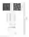 Fig. 06 - Tethered lipoplex nanoparticle biochips and methods of use