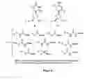 Fig. 07 - Aptamers and diagnostic methods for detecting the EGF receptor