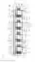 Fig. 09 - Display apparatus and method of manufacturing display apparatus