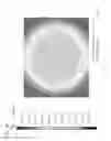 Fig. 03 - Liquid crystal display panel