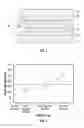 Fig. 02 - Electrochromic multi-layer devices with cross-linked ion conducting polymer