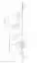 Fig. 02 - Electrophotographic printing and glossing
