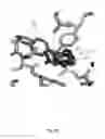 Fig. 20 - COMPUTATIONAL METHOD FOR CLASSIFYING AND PREDICTING PROTEIN SIDE CHAIN CONFORMATIONS