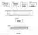 Fig. 04 - Method and system for microbiome-derived diagnostics and therapeutics for endocrine system conditions