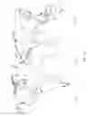 Fig. 02 - VIRTUAL PATHOLOGY FOR DERMATOLOGY