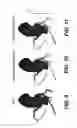 Fig. 09 - Systems and methods for determining blood flow characteristics using flow ratio
