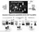 Fig. 01 - METHOD AND APPARATUS TO BUILD NEW ELECTRONIC INSTRUMENTS AND DEVICES: THE 3D-FLOW OPRA TO SOLVE APPLICATIONS OF FAST, REAL-TIME, MULTI-DIMENSION OBJECT PATTERN RECOGNITION ALGORITHMS (OPRA) AND THE 3D-CBS (3-D COMPLETE BODY SCREENING) TO ACCURATELY MEASURE MINIMUM ABNORMAL BIOLOGICAL PROCESSES OF DISEASES AT AN EARLY CURABLE STAGE SUCH AS CANCER IMPROVING DIAGNOSIS AND PROGNOSES FOR MAXIMIZING REDUCTION OF PREMATURE DEATHS AND MINIMIZE THE COST PER EACH LIFE SAVED