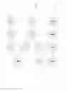 Fig. 06 - Optical character recognition of series of images