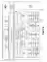 Fig. 05 - Ingesting information into a universal cognitive graph