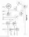 Fig. 18 - Ingesting information into a universal cognitive graph