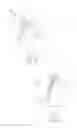 Fig. 02 - Information and tracking marking system and method with modifiable marks