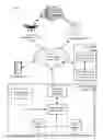 Fig. 01 - SECURED DELIVERY SYSTEMS AND DEVICES