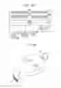 Fig. 10 - METHOD AND PORTABLE APPARATUS FOR SETTLING TRANSACTION
