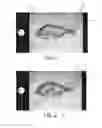 Fig. 02 - Systems and associated methods for measuring the length of a fish