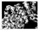 Fig. 01 - Methods and systems for image alignment of at least one image to a model