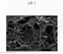 Fig. 06 - Electrode comprising organic semiconductor material, method for manufacturing electrode, and supercapacitor comprising electrode