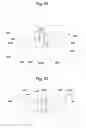 Fig. 07 - Light emitting diode