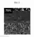 Fig. 06 - Organic semiconductor thin film and method of manufacturing the same and thin film transistor and electronic device