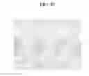Fig. 41 - Organic semiconductor thin film and method of manufacturing the same and thin film transistor and electronic device