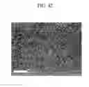 Fig. 43 - Organic semiconductor thin film and method of manufacturing the same and thin film transistor and electronic device