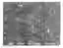 Fig. 01 - Cross-linked, microporous polysulfone battery electrode separator