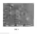 Fig. 02 - Cross-linked, microporous polysulfone battery electrode separator