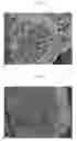 Fig. 02 - Positive electrode active material particle powder for non-aqueous electrolyte secondary battery, method for manufacturing same, and non-aqueous electrolyte secondary battery