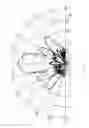 Fig. 08 - Antenna unit with anti-feed power divider function and array module thereof
