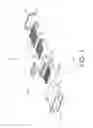 Fig. 02 - CONNECTOR