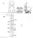 Fig. 01 - Downhole component communication and power management