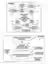 Fig. 01 - Contextual service mobility in an enterprise fabric network environment